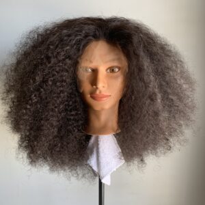 Kinky Curly Human Hair Lace Front Wig
